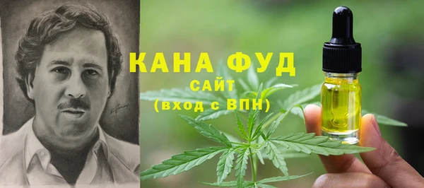 индика Балахна