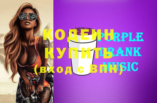 шишки Белая Холуница