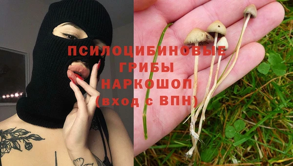 хмурый Надым