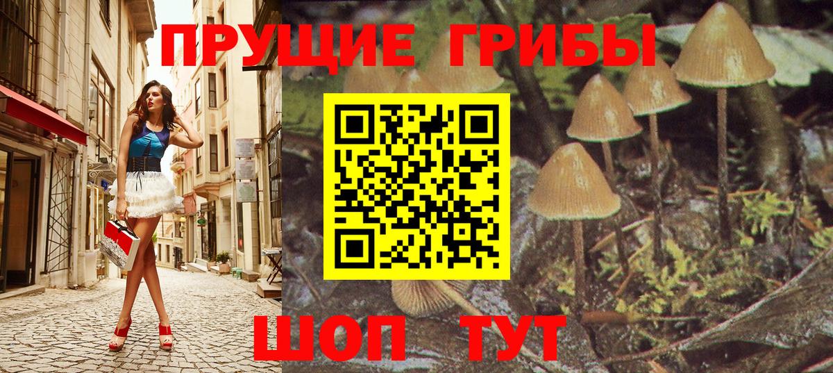 Саранск  Галлюциногенные грибы MAGIC MUSHROOMS  Псилоцибиновые грибы мухоморы  Вход с VPN 