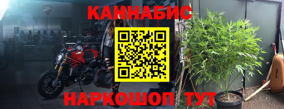 Марихуана гибрид Саранск